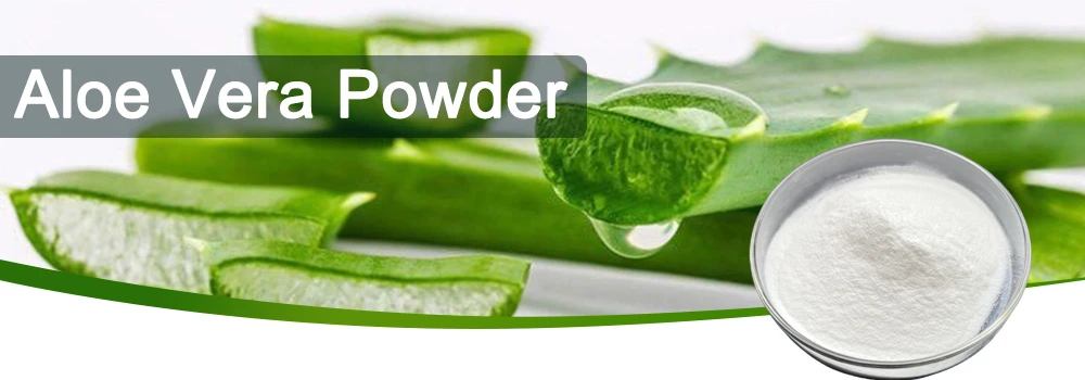 aloe vera powder-1 aloe vera powder-1