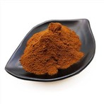 Organikus Chaga por