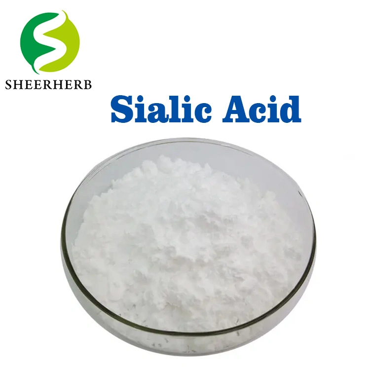 Best Price Hot Sale Sialic Acid Price N-Acetylneuraminic Acid Bird′s Nest Extract Sialic Acid Powder