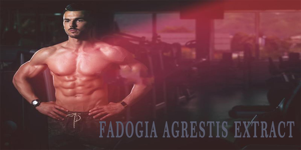 Fadogia Agrestis Extract07