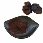Organikus Chaga gomba kivonat por