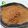 Tea Seed Extract Tea Saponin Powder