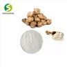 Chicory Root Powder